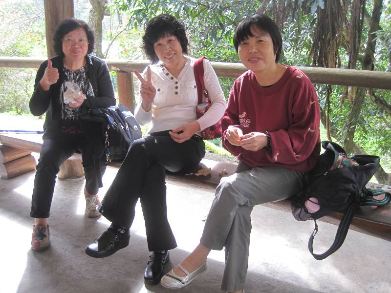 東勢林場之旅